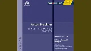 Mass No. 2 in E Minor, WAB 27: Kyrie