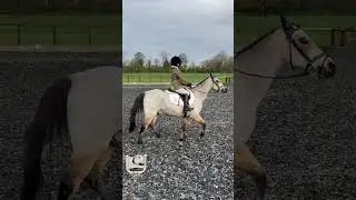 Chloe Wish & Phoenix