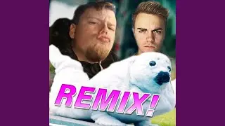 Mach die Robbe (Remix) (feat. Julien Bam, Tanzverbot & Willboy)