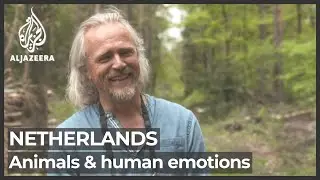 Songs of protest: Wild birds join the chorus of chants