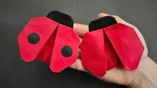 Easy Tutorial of Paper LADYBUG 🐞 By Michał Kosmulski and Sara Adams