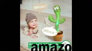 Pbooo Dancing Talking Cactus Mimicking Toy REVIEW! Product Review #50
