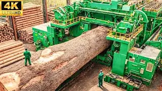Inside the Largest Wood Sawmill Factory – How Plywood Is Made From Logs to Table (Full Process)