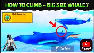 How to use whale escape pod in bgmi || bgmi मे ब्लू व्हेल 🐳 कैसे उड़ाए || @AprchitgamingYT8