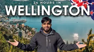 How to spend 24 HOURS in WELLINGTON (Top Things to do in Wellington) 🇳🇿