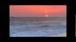 الصديق بالحاج & أسمعنى يالبحر