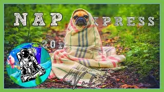 🐶 NAP EXPRESS | SLEEP 20 minutes and REST 8 hours | Delta waves