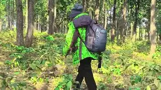 New Santali song || Hara godo Puhal mone rei 