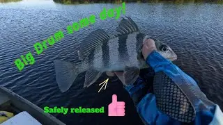 In search of the elusive giant Sheepshead. Subscribe now, I will soon find that huge Fish.