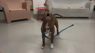 Walter 245556 Loves to Sing! 🎶