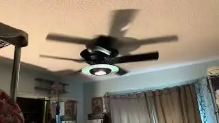 Casablanca Venus and Casablanca Venus Halo ceiling fans running together
