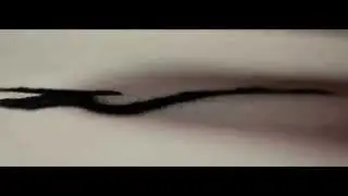 Logo Reveal -  Music Theme