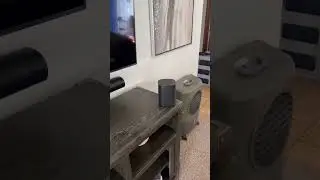 Sonos voice control.