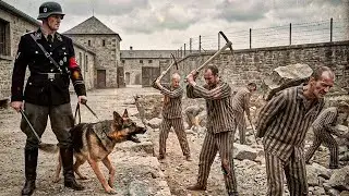 Mauthausen: What Life Was Like in the Most Brutal Nazi Concentration Camp