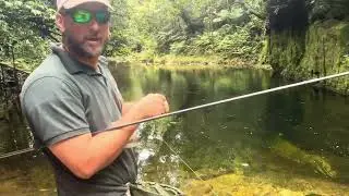Pesqueiro de lambari No litoral do Paraná