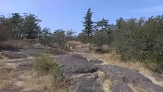 Esquimalt's Highrock park - Aerial Footage