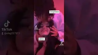 знаки зодиака.ТИК ТОК