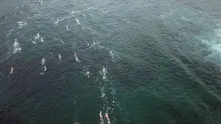 Swimming between Manly Beach and Shelly Beach in Manly, Australia.