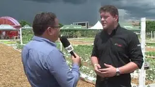 Conhe&ccedil;a as vantagens da semente h&iacute;brida na horticultura e na fruticultura