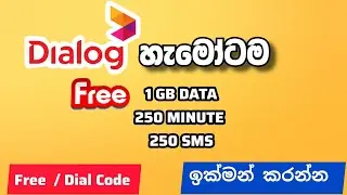 Dialog free data free 250 minutes and 250 sms | flood relief free internet offer