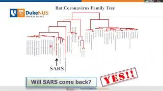 part 2 Dr Linfa Wang presentation 1