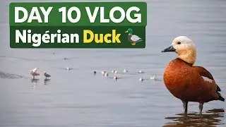 DAY - 10 || 30day lucky draw winner challenge vlog 🏆🤜🤛