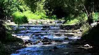 Nature Sounds | River | Relax | Meditation