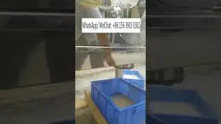 Automatic banana pulp making grinder machine fruit pulper paste maker machine