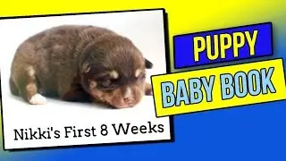 Nikki the POMSKY's Baby Book the first 8 weeks