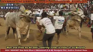 2024 Mahanandi SENIORS Bulls show 2nd Prize Rs.80,000/- Won By DVR MEMORIAL - DEVABHAKTUNI SUBBRAO