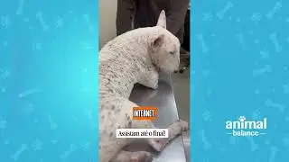 Dermatite n&atilde;o se trata s&oacute; quando piora