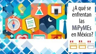 &iquest;A qu&eacute; se enfrentan las MiPyMEs en M&eacute;xico?