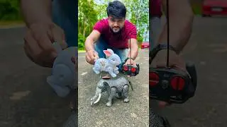 RC Elephant🐘 aur Rabbit🐇 unboxing and Racing🔥koun jitega ?