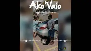 Official Avoro 》》 Ako 'Vaio