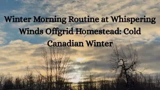 Winter Morning Routine at Whispering Winds Offgrid Homestead: Cold Canadian Winter