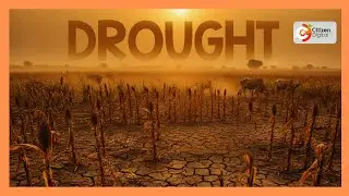 Kenya's Gold chat | Drought crisis in Kenya [Part 2]