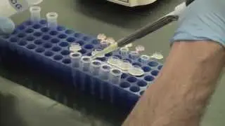 Purdue Agriculture - Plant Sciences Initiative