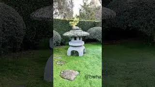 &ldquo;Peaceful Garden&rdquo; photo. #shorts