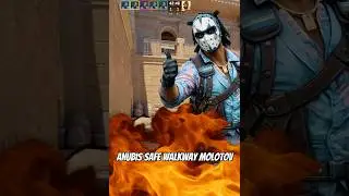 Team Vitality Apex Anubis Walkway Molotov #cs2