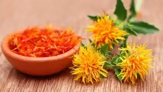 How To Grow Safflowers / American Zaffran / Fake Zaffran In Pots. Fake VS Real Zaffran
