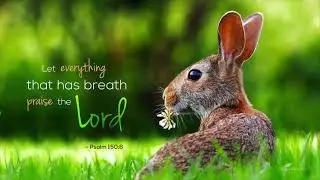 Praise to the Lord, the Almighty - AY Meditation by Addi Garcia