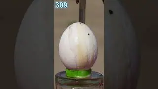 How Acid Melt Egg #bluebox