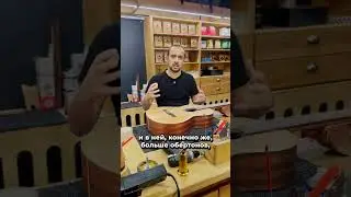 Alhambra Z-Nature для новичков?