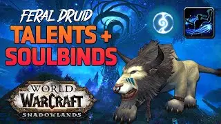 Night Fae/Convoke Feral Talents + Conduits | 9.1.5 | Shadowlands | PVP