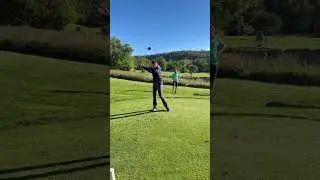 Wide arm  compound pivot.