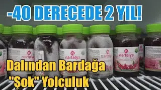 Meyve Suyunda Devrim!, Nartalya -40 Derecede Zamanı Durdurdu