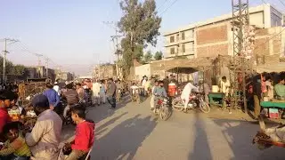 Gujranwala Flying Pigeons Market Pets Market 🕊️🕊️🐓🐓