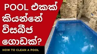 Swimming pool එක නිවැරදිව පිරිසිදු&nbsp;කරමු | how to clean a pool  #swimmingpool #pooldesign #rukavlogs
