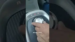 Ora Good Cat - Mirror Reverse Link Function