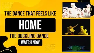 Adorable Duckling Dance | Children's Performance